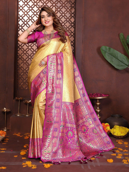 Anaita Banarasi Tissue Silk Saree