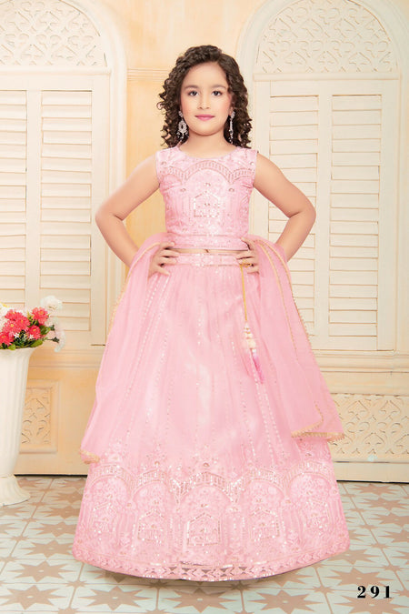 Kids Functional Designer Pink soft NetLehenga choli - Aaradhna