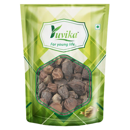 Yuvika Lisodha - Dry Lesua