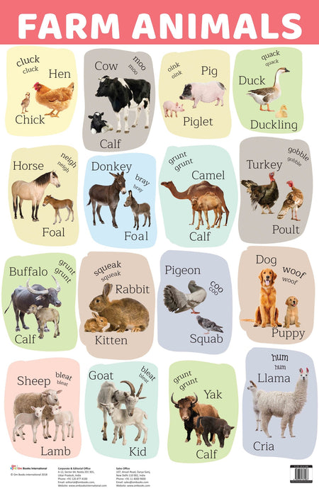 Farm Animals : Charts - Om Books