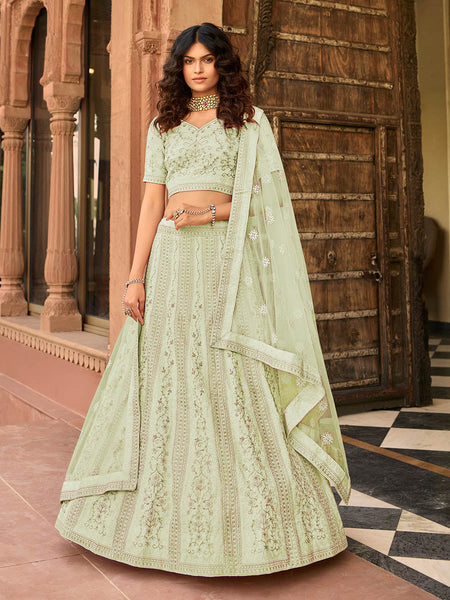 Myra Light Green Organza Embroidered Lehenga Choli