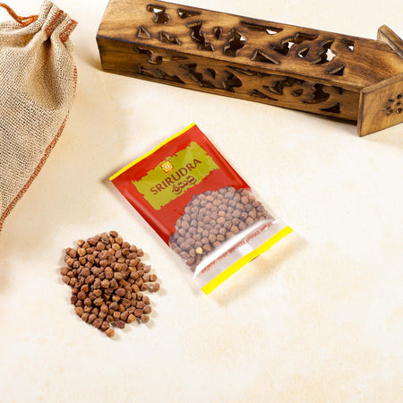Sri Rudra Shanagalu (SR02854)