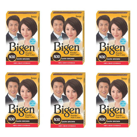 Bigen Powder Hair Color Dark Brown N30