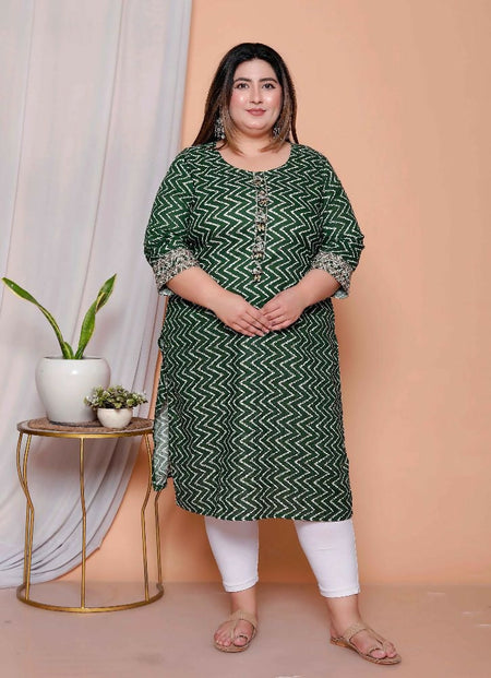 Miravan Womens Plus Size Green Zigzag Print Embroidery Rayon Straight Kurta