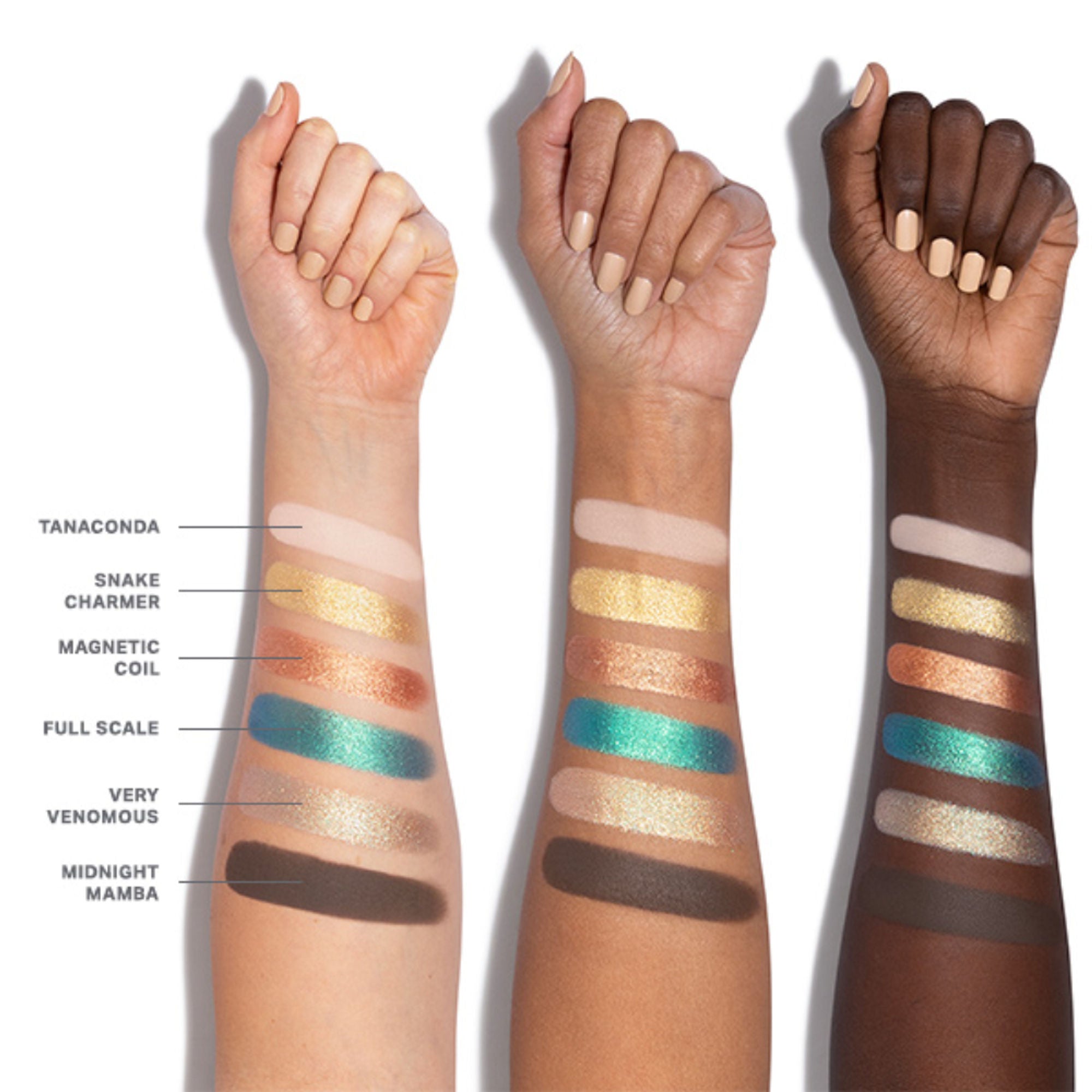 MORPHE Chromaplus 6-Pan Eyeshadow Palette - Python Code