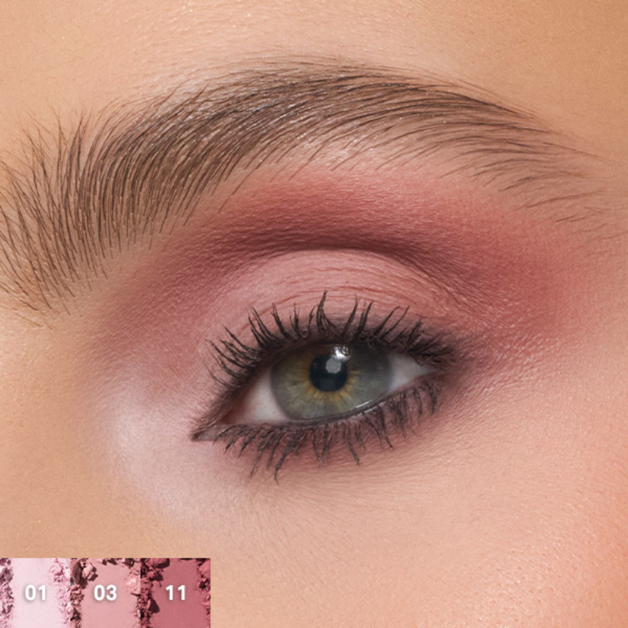 MORPHE Chromaplus 12-Pan Eyeshadow Palette - Rose Frequency - Distacart