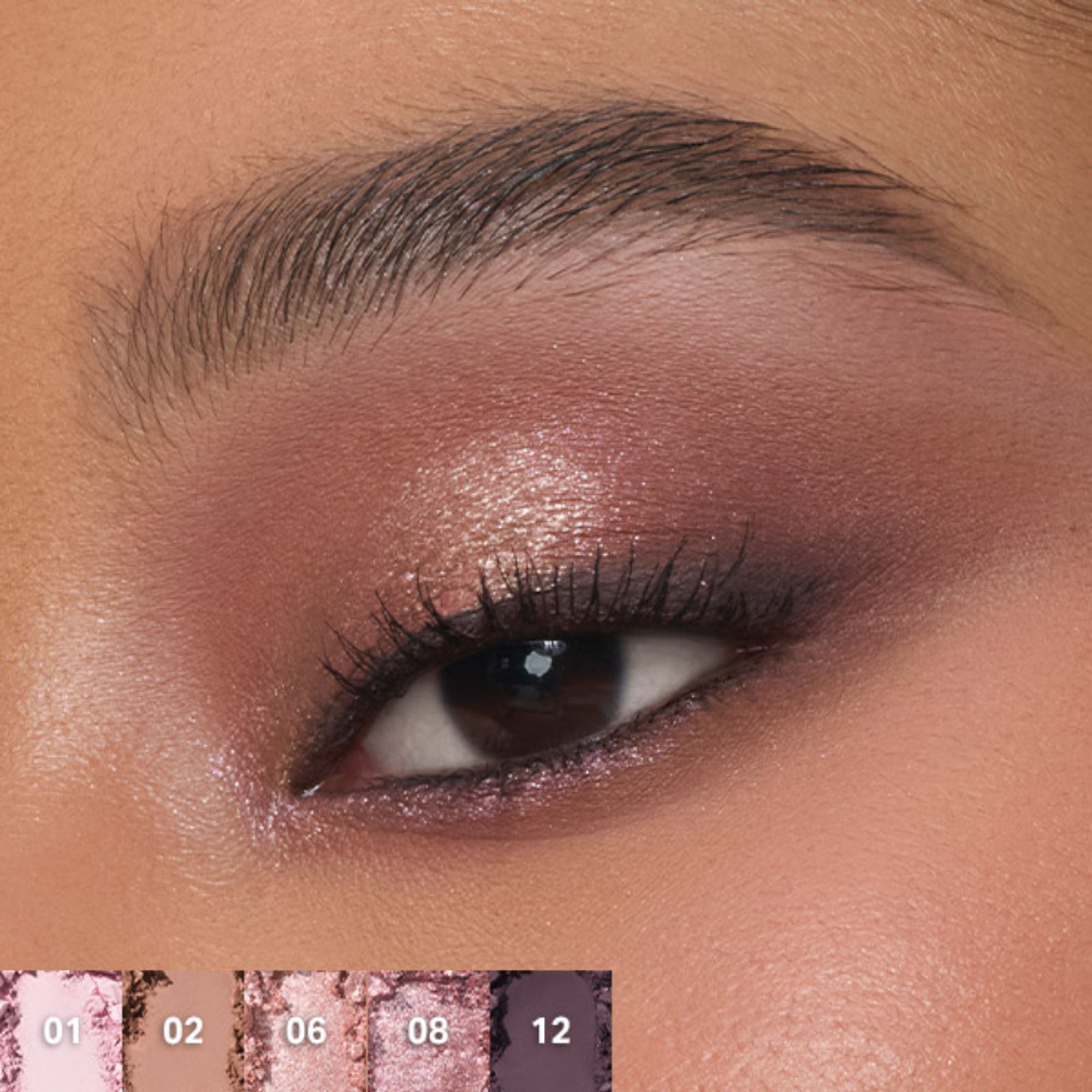 MORPHE Chromaplus 12-Pan Eyeshadow Palette - Rose Frequency - Distacart