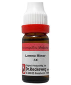 Dr. Reckeweg Lemna Minor Dilution - Distacart