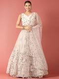 House of Panchhi Grey Net Sequinse Work Lehenga & Blouse, Dupatta