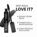VERYMISS Ultimate Makeup Combo - 2 + Free Makeup Pouch