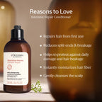 L'Occitane Intensive Repair Conditioner