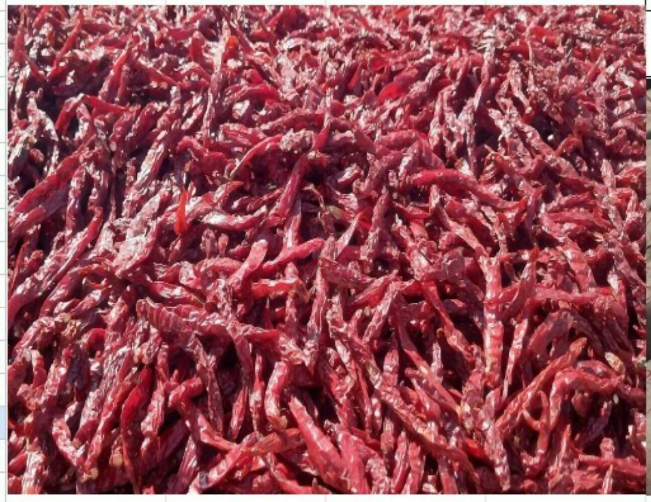 Namma Byadgi's Organic Mirchi Masala Kit- (Marchi, Spices, Powders) - Distacart