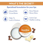 Vaseline Tin Cocoa Butter Lip Therapy
