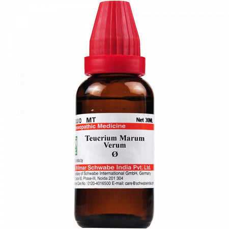 Dr. Willmar Schwabe India Teucrium Marum Verum Mother Tincture Q
