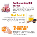 Wow Skin Science Red Onion Black Seed Oil Shampoo - Distacart