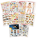 Dreamland Educational Charts - Combo 3 (10 Charts) : Children Early Learning Laminated Chart - Distacart