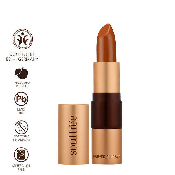 Soultree Ayurvedic Lipstick Rusty Cinnamon 840