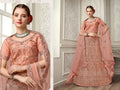 Peach Net Fancy Zari Embroidered work Lehenga Choli with Dupatta - Heer