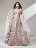 House of Panchhi Rose Gold Net Mirror & Sequinse embroidery Lehenga choli & Dupatta