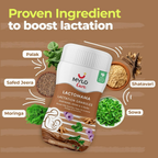 Mylo Care Lactomama Granules – Lactation Supplement For Breastfeeding With Shatavari To Increase Breast Milk (Chocolate Flavour
