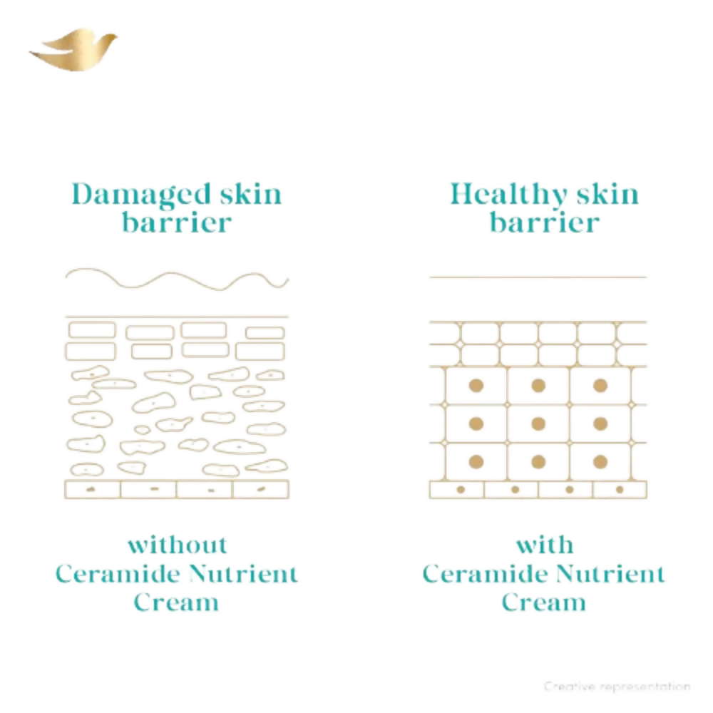 Dove Advanced Sensitive Care Body Wash With Ceramide & Nutrient Cream