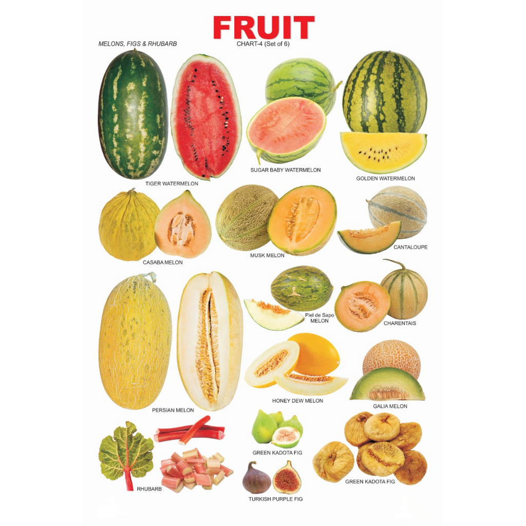 Dreamland Publications Educational Chart for Kids - Fruit Chart - 4 - Distacart