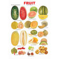 Dreamland Publications Educational Chart for Kids - Fruit Chart - 4 - Distacart