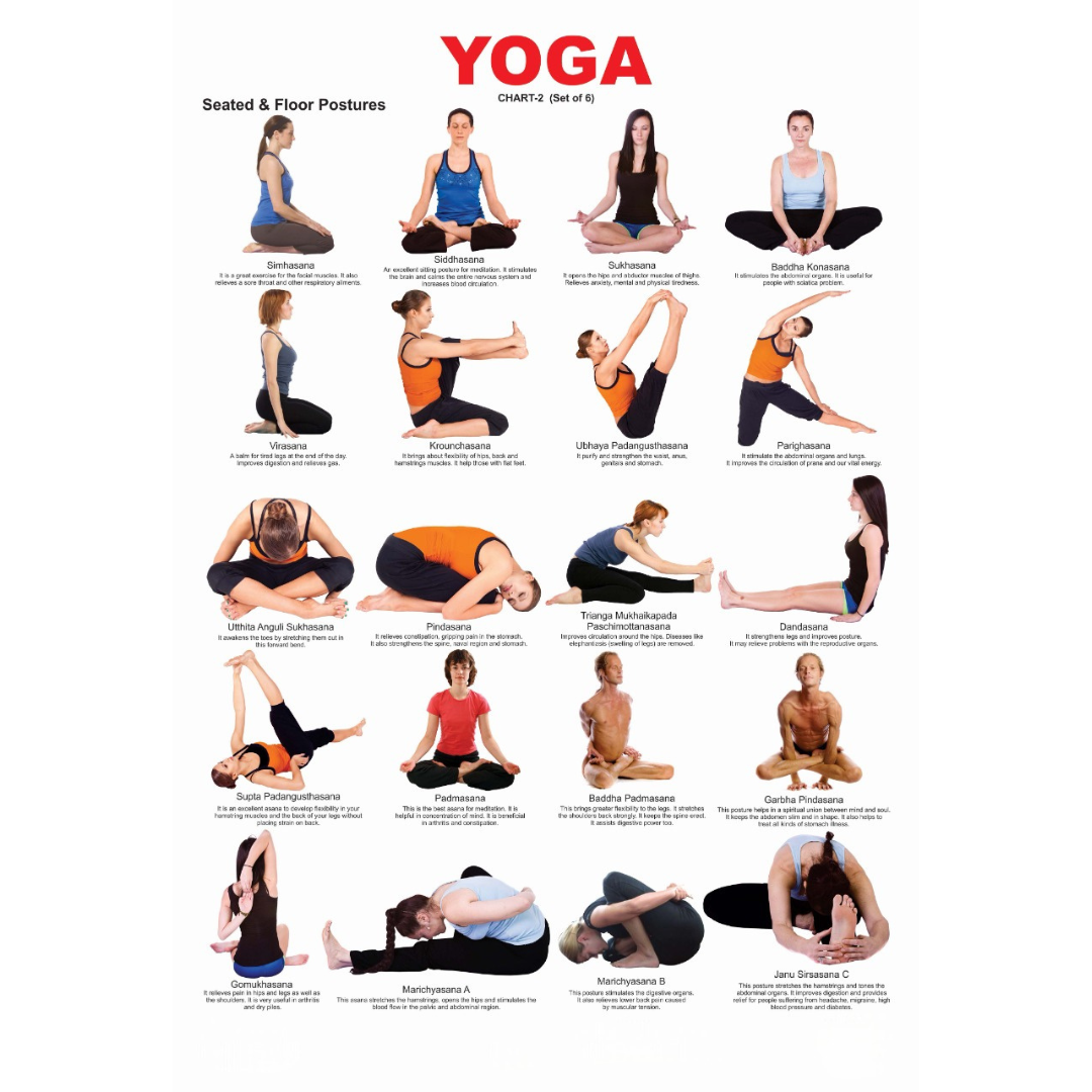Dreamland Publications Yoga Chart - 2 : Children Reference Educational Laminated Chart - Distacart