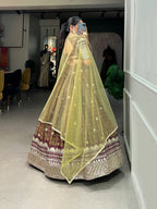 Lorenvalley Brown Chinon Digital Print with Embroidery Sequins Work Lehenga Choli with Dupatta