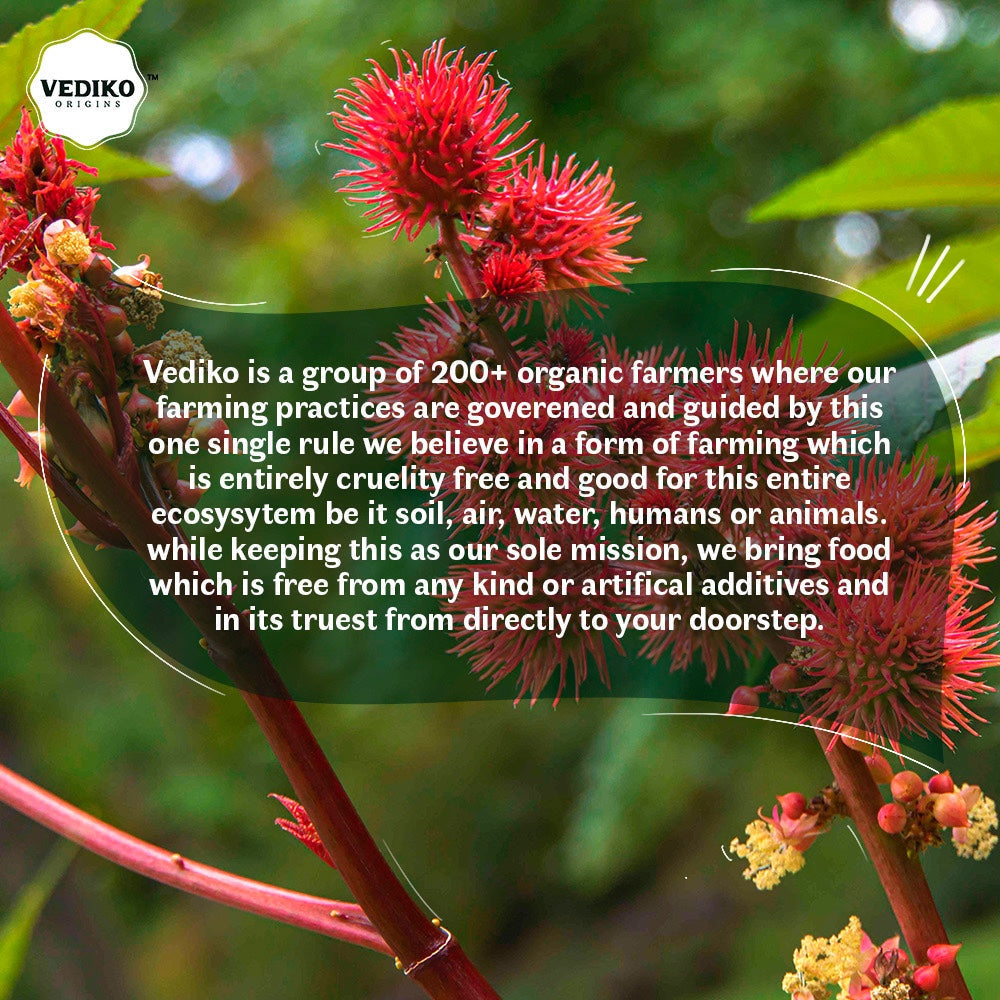 Vediko Origins Castor Oil