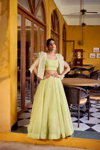 Lorenvalley Fashion Limegreen Allnen Crush Plain Lehenga Choli with Koti - Distacart