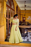 Lorenvalley Fashion Limegreen Allnen Crush Plain Lehenga Choli with Koti - Distacart