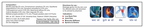 Sagius Ayugesic Ointment