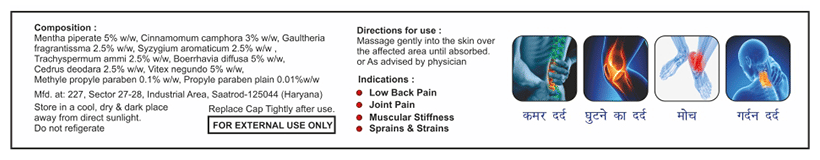 Sagius Ayugesic Ointment