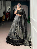 Lorenvalley Fashion Grey Tasar Silk Kalamkari Print With Lace Border Lehenga Choli with Dupatta - Distacart