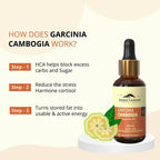 Rasayanam Garcinia Cambogia Liquid - Distacart