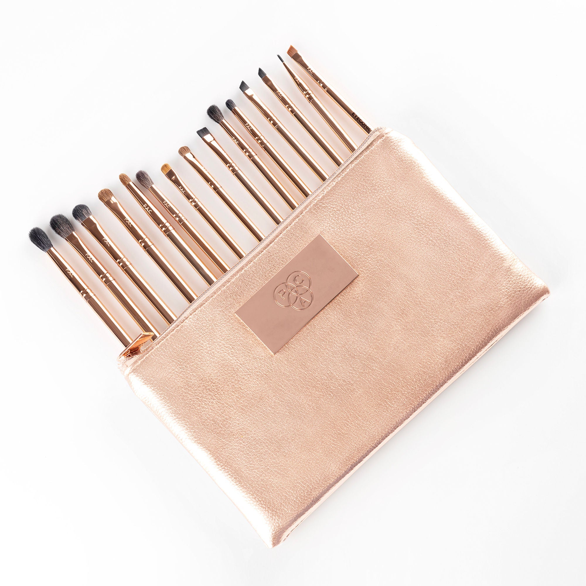 PAC Studio Eyeconic Brush Kit - 15 Brushes