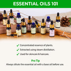 Nykaa Naturals Tea Tree Essential Oil For Acne & Hair Fall Control Solution - 100% Natural