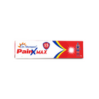 Dr. Morepen Pain-X Max Body Pain Relief Gel - Distacart