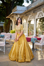 Lorenvalley Mustard Goldie Plain Lehenga with Sequins Thread Embroidery Work Choli