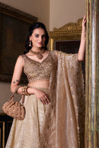 Lorenvalley Chiku Gold Crush Plain Lehenga Choli Embroidery Work with Dupatta