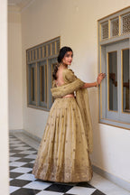 Lorenvalley Cream Gold Crush Fabric with Sequins and Thread Embroidery Work Lehenga Choli