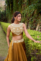 Lorenvalley Fashion Brown Chanda Silk Plain With Sequins and Thread Embroidery Work Belt Lehenga Choli with Dupatta