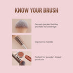Swiss Beauty Powder Brush - Distacart