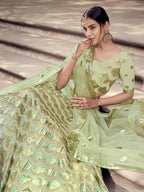 Myra Pista Green Soft Net Heavy Embroidered Lehenga