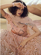Myra Peach Embroidered Net Lehenga