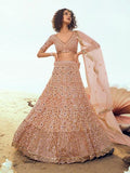 Myra Peach Embroidered Net Lehenga