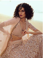 Myra Peach Embroidered Net Lehenga