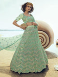 Myra Green Embroidered Net Lehenga