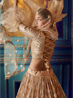Myra Beige Heavy Embroidered Net Lehenga